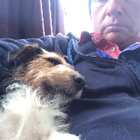 Steve Field