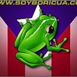 Luis A Concepcion