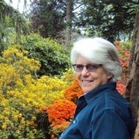 Sheila Chambers