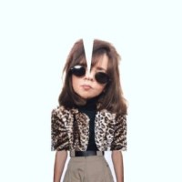 Shir Cohen