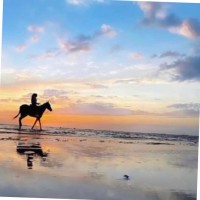 وفاء الحربي