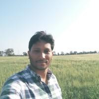 Anil Raut