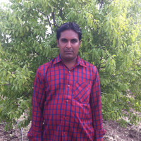 Nilesh Ramani