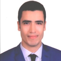 Mostafa Ameen