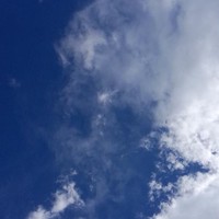 张迎春