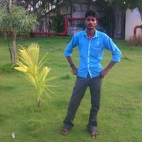 Annamalai P