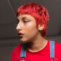parisa n