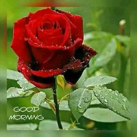 Sumith P