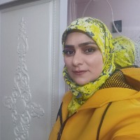 Tayebeh Gholami