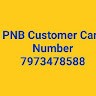 Pnb Customer Care Number