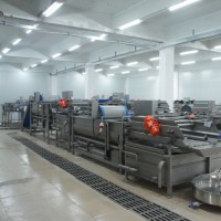 foodequipment Yang