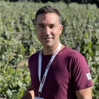 Diego Bellissimo