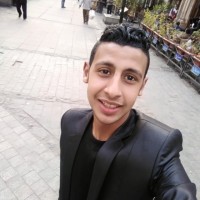 Omar Abdelmotaleb