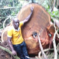 Mathurin Simbe Angos