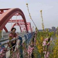 五洲兴