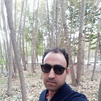 Ali Askari