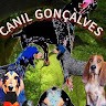 CANIL GONÇALVES
