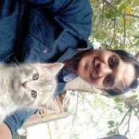Kabir Shaikh