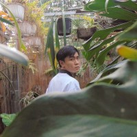 Khue Nguyen