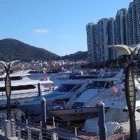 朱海松