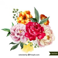 Nona Roshdy