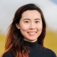 Vivian P. Li