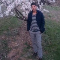 adib .z