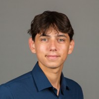 Michael Insana