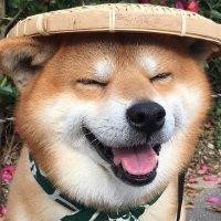 梁东军