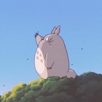 石慧鑫