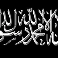 Najim Ansari