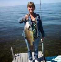 Cindy Henehan