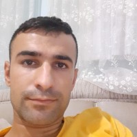 Çekdar Çelik
