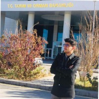 Cangir Koçak