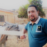 Adel Hassan