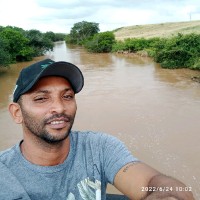 Francisco ribeiro Ribeiro