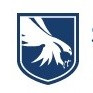 Skyline Security And Surveillance Services