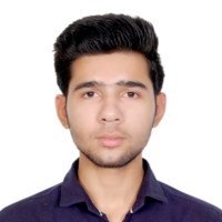 Ali Shah Raza