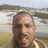 Ant Haynes