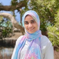 Alaa Megahed
