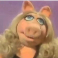 Shereen Fernie-Shadle