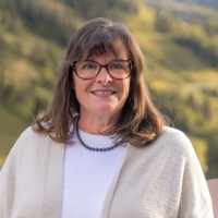 Lisa Fitz Svp, Apm, Pmp, Ms Uxd