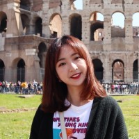 Xin Jin