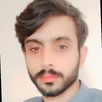 Syed Mohsin Raza