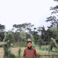 Salim Junior