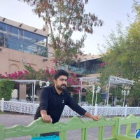 Wajid Bakht