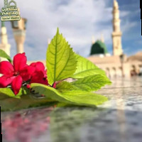 Syed Abdul Basit Bukhari Sabzwari Hussaini