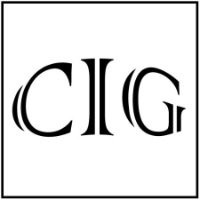 College Insights Group