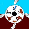 Avery Hare