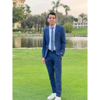 Hesham Moustafa